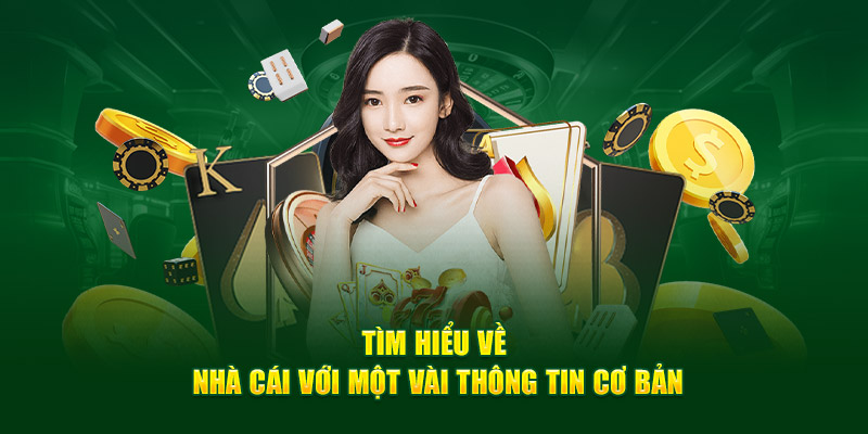 Wild.io Casino Trực Tuyến Bom Tấn Uy Tín Khu Vực